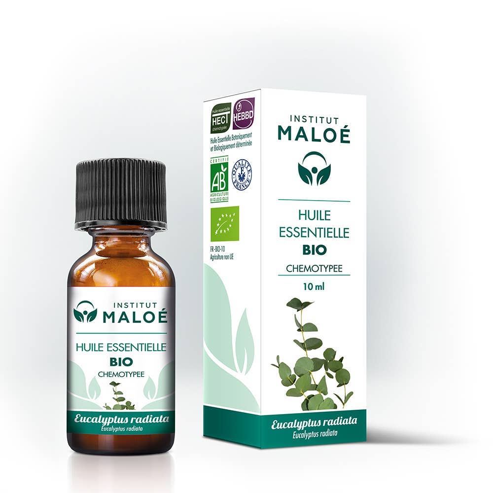 Institut Maloé | Eterisk Olje av Eucalyptus, Økologisk | 10 ml