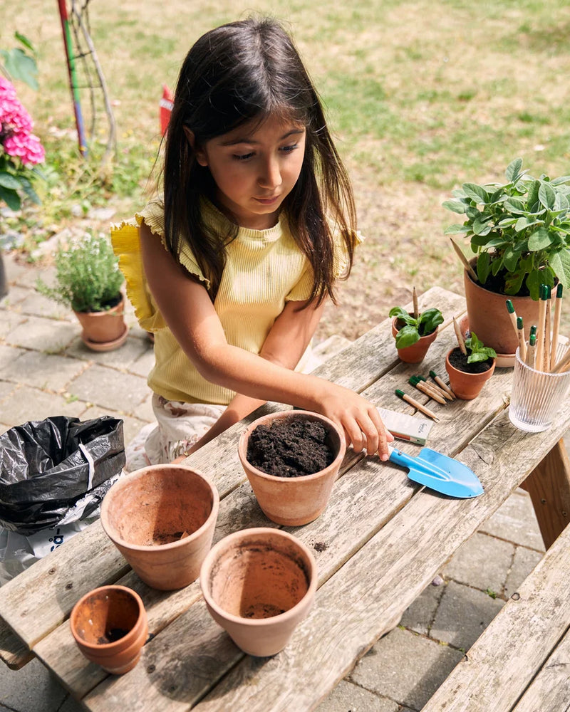 Scandinavian Crayon Company | Plantbar Grafittblyant - Botanisk Serie