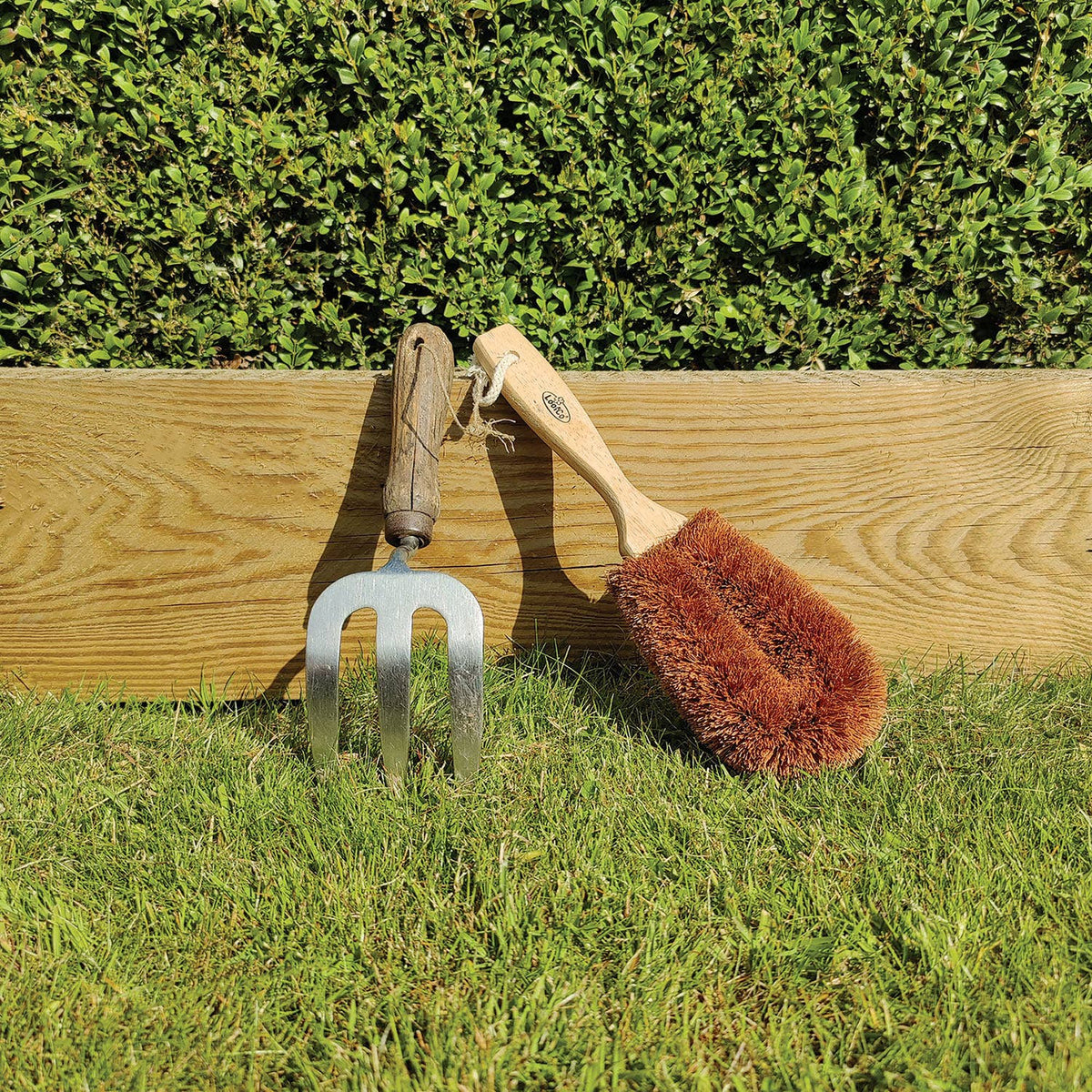 LoofCo | Grovbørste, 100% plastfri (koksfiber)