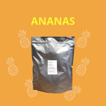 Organica | Økologisk Ananas, Frysetørret, 100% Ren Frukt | Økonomipakn. 1kg ~ 10kg