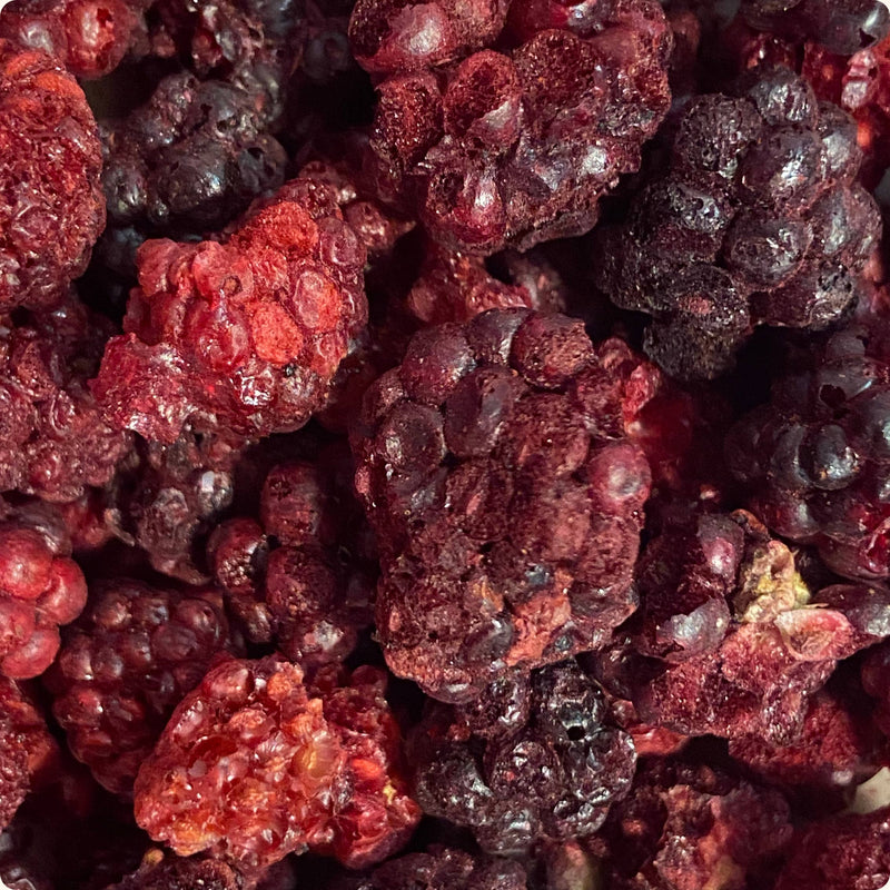 Organica | Økologiske Bjørnebær, Frysetørret, 100% Ren Frukt | 16g ~ 120g