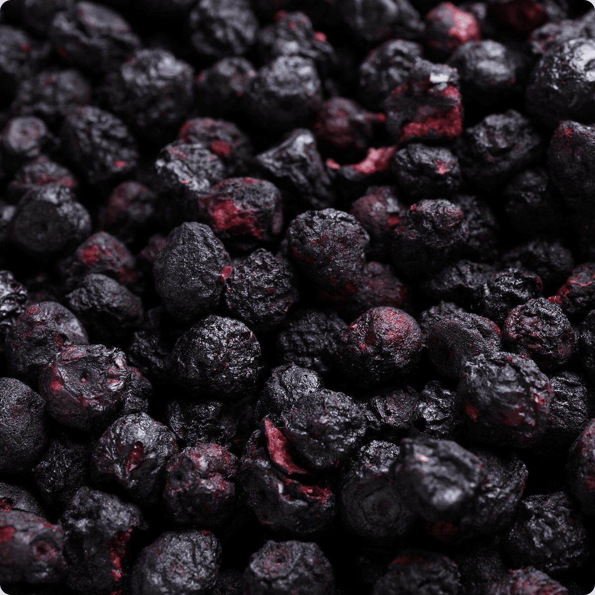 Organica | Økologiske Blåbær, Frysetørret, 100% Ren Frukt | 60g ~ 420g