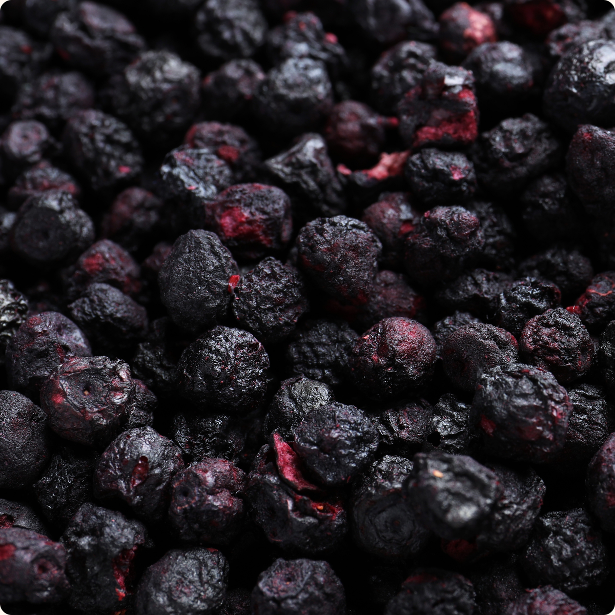 Organica | Økologiske Blåbær, Frysetørret, 100% Ren Frukt | 16g ~ 120g
