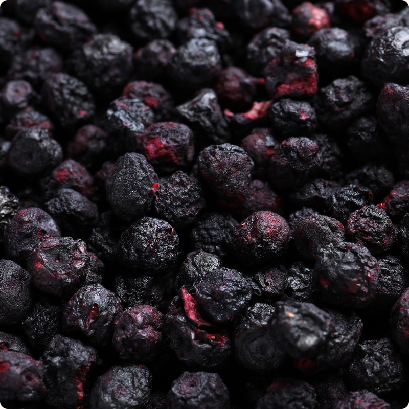 Organica | Økologiske Blåbær, Frysetørret, 100% Ren Frukt | 16g ~ 120g