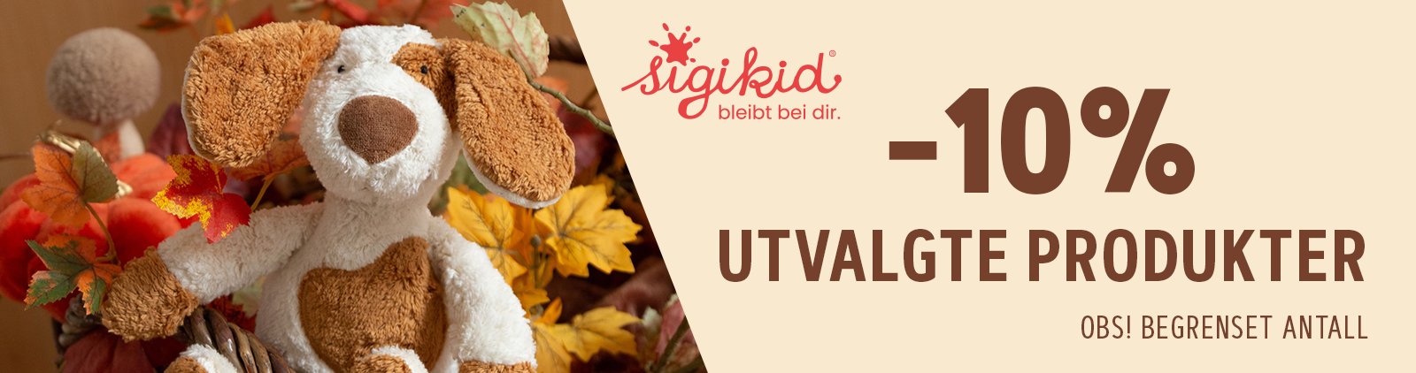 Kampanjebanner