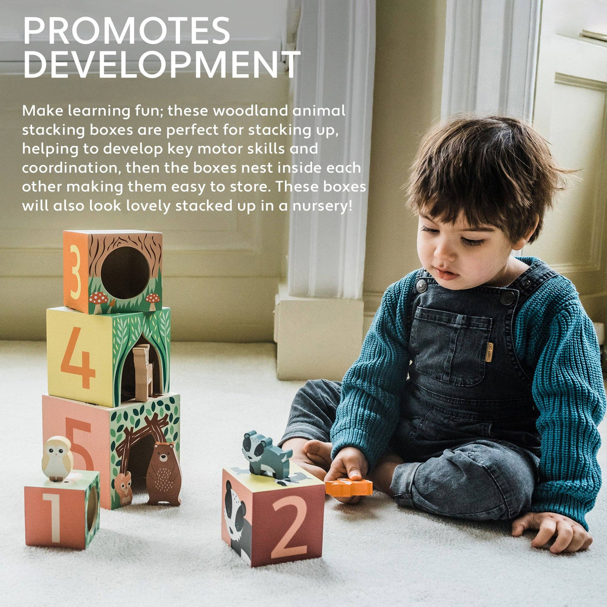 Orange Tree Toys | Stablekuber, Skogsdyr