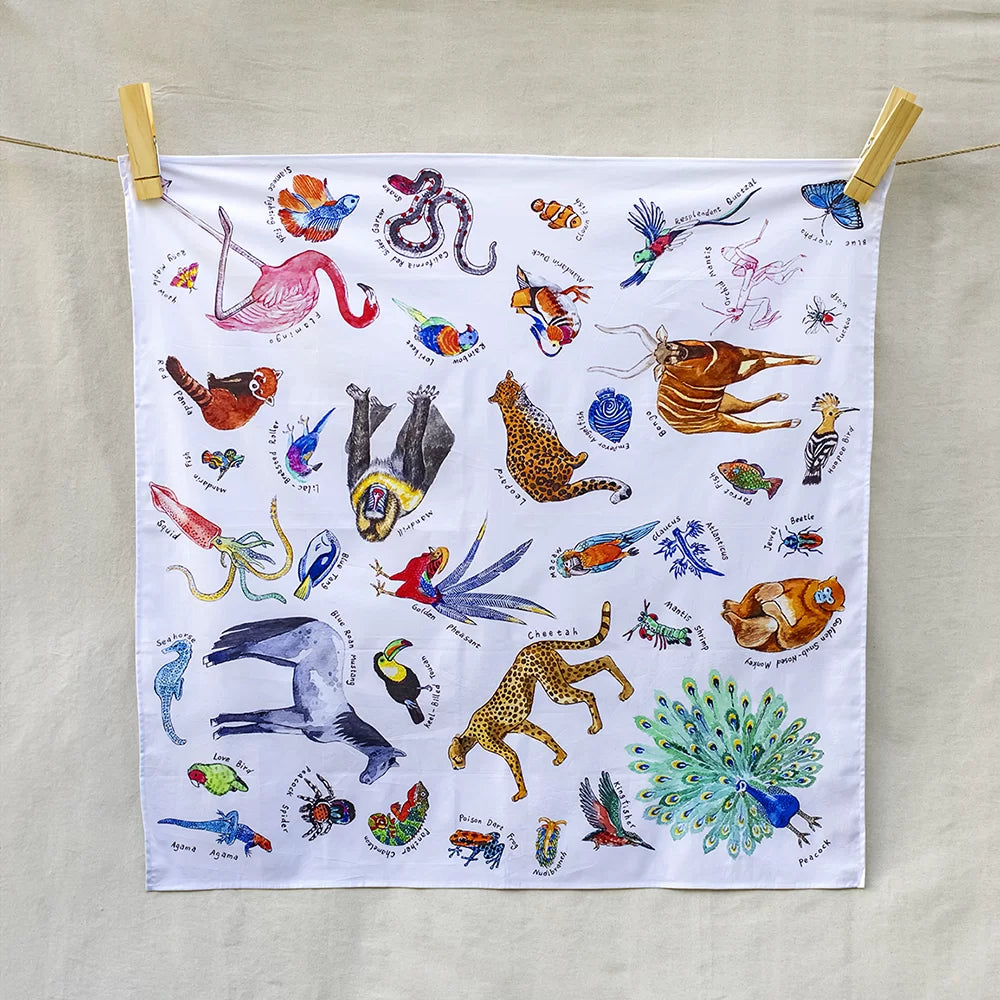 Wonderie | Lekelandskap -  A Kingdom of rainbow animals