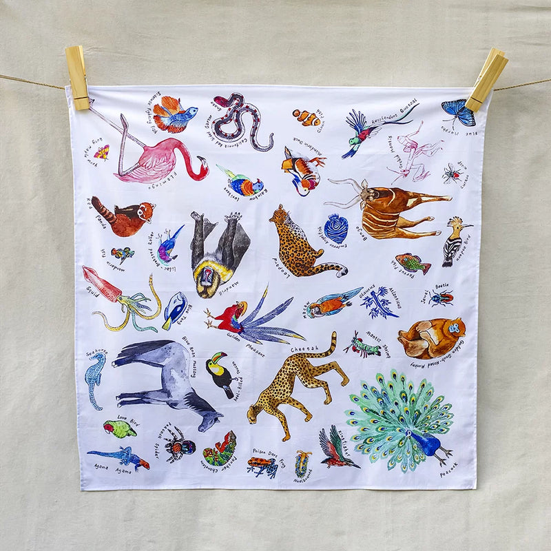 Wonderie | Lekelandskap -  A Kingdom of rainbow animals